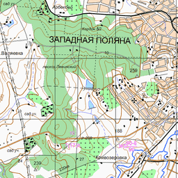 Поселок полевой карта