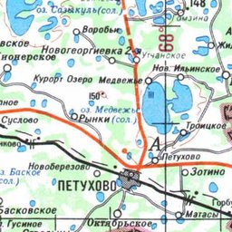 Петухово на карте. Петухово курганская область на карте. Авито петухово. Школа 1 петухово курганская область. Петухово на карте.