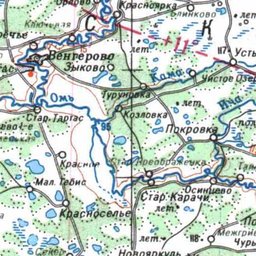 Карта новосибирской области чановский район